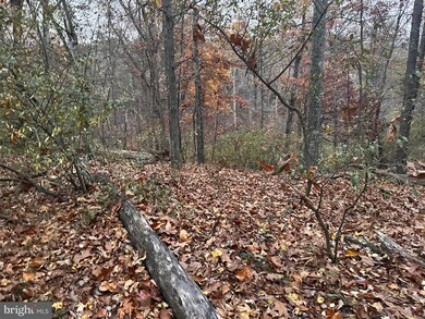 Lot 40 Prado Way, Berkeley Springs, WV 25411 - photo 4