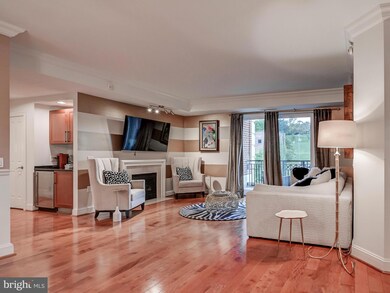 The Ritz-Carlton Residences, Baltimore, MD 21230 - photo 6