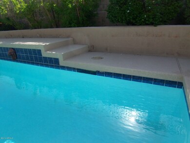 Sparkling Pool