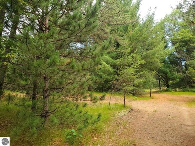 0 Cabin Lake Road Nw Corner at Oleskie Trail unit 1902033, West Branch, MI 48661 - photo 5