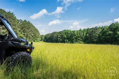 0 Doster Rd unit 2720, Madison, GA 30605 - photo 5