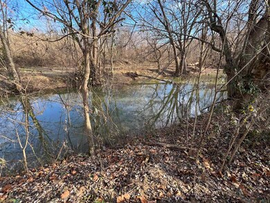 117.71 Acres Cemetery Rd, Scottsville, KY 42164 - photo 7