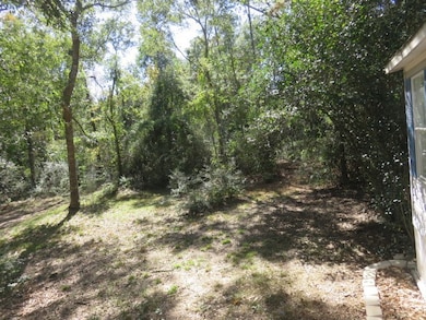 side of the house/front yard