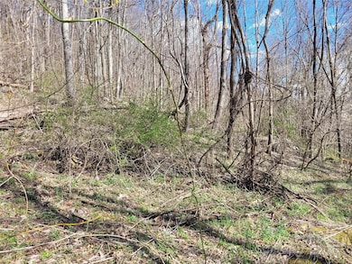 home site 2 facing east