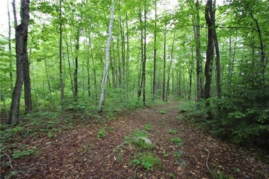 41 Patriot Ln, Litchfield, ME 04350 - photo 7