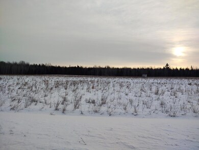 Food Plot Area