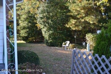 back yard