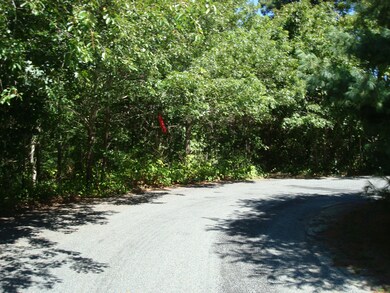 44 Iris Ln, Barnstable, MA 02675 - photo 4