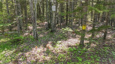 View of pin from Asa's Lane