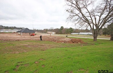 10840 County Road 2335, Tyler, TX 75707 - photo 4