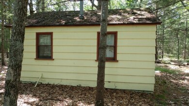 9156 S Taylor, Baldwin, MI 49304 - photo 6