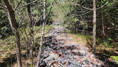 0 State Trunk Highway 42, Ellison Bay, WI 54210 - photo 5