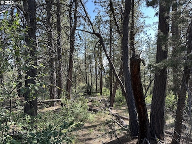 0 Sandpiper Dr unit 2300, Beatty, OR 97621 - photo 4