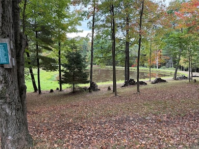 2532 Cr-22, Orange, NY 14812 - photo 7