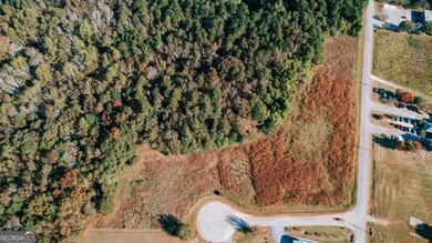 2 Callaway Dr, Crawford, GA 30630 - photo 4