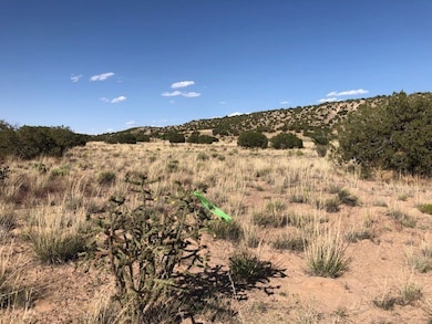 Lots 4&5 Santa California Subd, Medanales, NM 87510 - photo 7