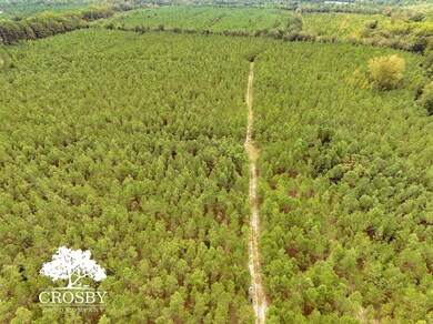 Tbd Thunder Rd, Olar, SC 29843 - photo 4