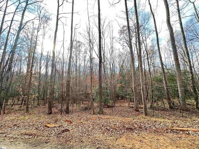 201 Leroy Dr, Liberty, SC 29657 - photo 6