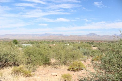 Lot 5
