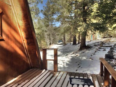 8 Big Bend Cut Off unit 6, Cloudcroft, NM 88317 - photo 5