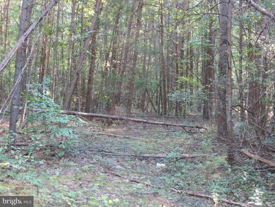 7309 Lakewood Ln, Spotsylvania Courthouse, VA 22551 - photo 7