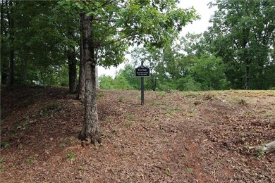 1034 Ainu Ct, Dahlonega, GA 30533 - photo 4