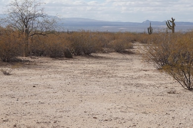 17821 S Wilmot Rd, Sahuarita, AZ 85629 - photo 5