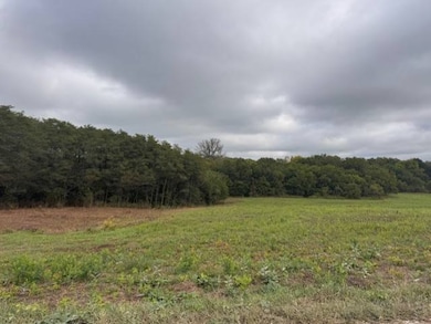 00 Hwy 33 & Se Ketchum Rd, Maysville, MO 64469 - photo 4