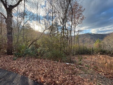 2.02 AC Viewforth Place, Topton, NC 28781 - photo 6