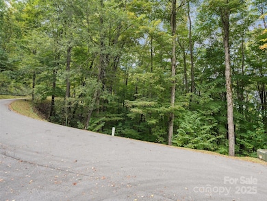 0 MacAllan Dr unit 16, Waynesville, NC 28786 - photo 7