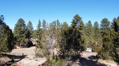 1905 Pine Drive