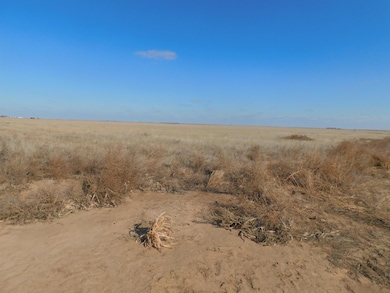 SW 1/4 13-6N-13 SW Texas County, Guymon, OK 73942 - photo 2