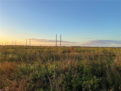 6694 5th Rd, Labelle, FL 33935 - photo 4