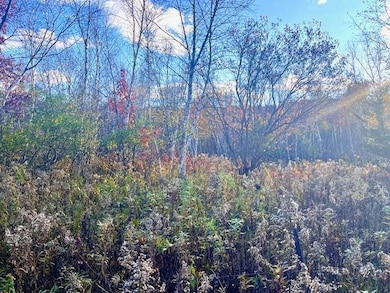 Lot 2 County Rd Q, Forest Township, WI 54005 - photo 2