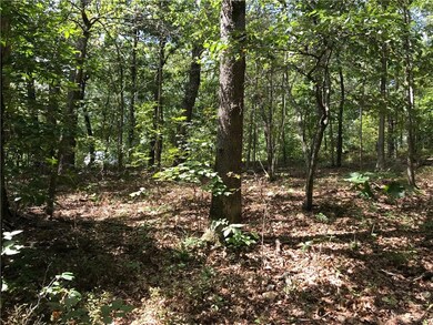 0 Burghley Ln unit 1126667, Bella Vista, AR 72714 - photo 4