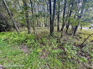 0 Rd, Jim Thorpe, PA 18229 - photo 4