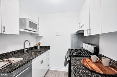 Carriage House unit 519, Washington, DC 20037 - photo 6