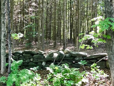 0 Hosmer Rd unit 72371306, Heath, MA 01346 - photo 4