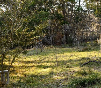 TBD Benton, Bonham, TX 75418 - photo 5