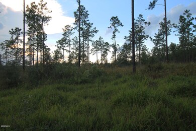 3.75 Ac Homestead Rd, Lucedale, MS 39452 - photo 4