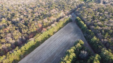 0 New Jersey 347, Dorchester, NJ 08316 - photo 5