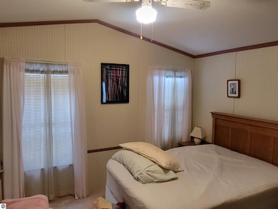 9226 Elsie Ave, Bear Lake, MI 49614 - photo 6