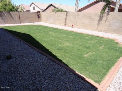 Backyard #2