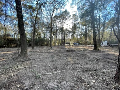 10014 Bentley Dr, Hockley, TX 77447 - photo 6