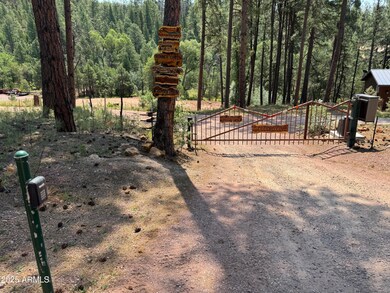 8019 E Hidden Ln, Payson, AZ 85541 - photo 2