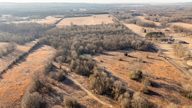 Tract 8 Rooster Rd, Conway, AR 72032 - photo 3