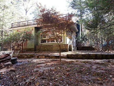 Yard/Garden.