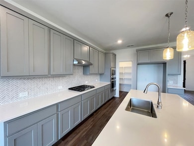 3606 Beebalm Blvd, Melissa, TX 75454 - photo 6