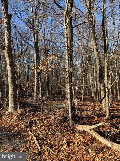 0 Swaim Ln unit WVMO108558, Berkeley Springs, WV 25411 - photo 3