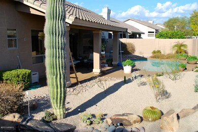 Backyard 2
